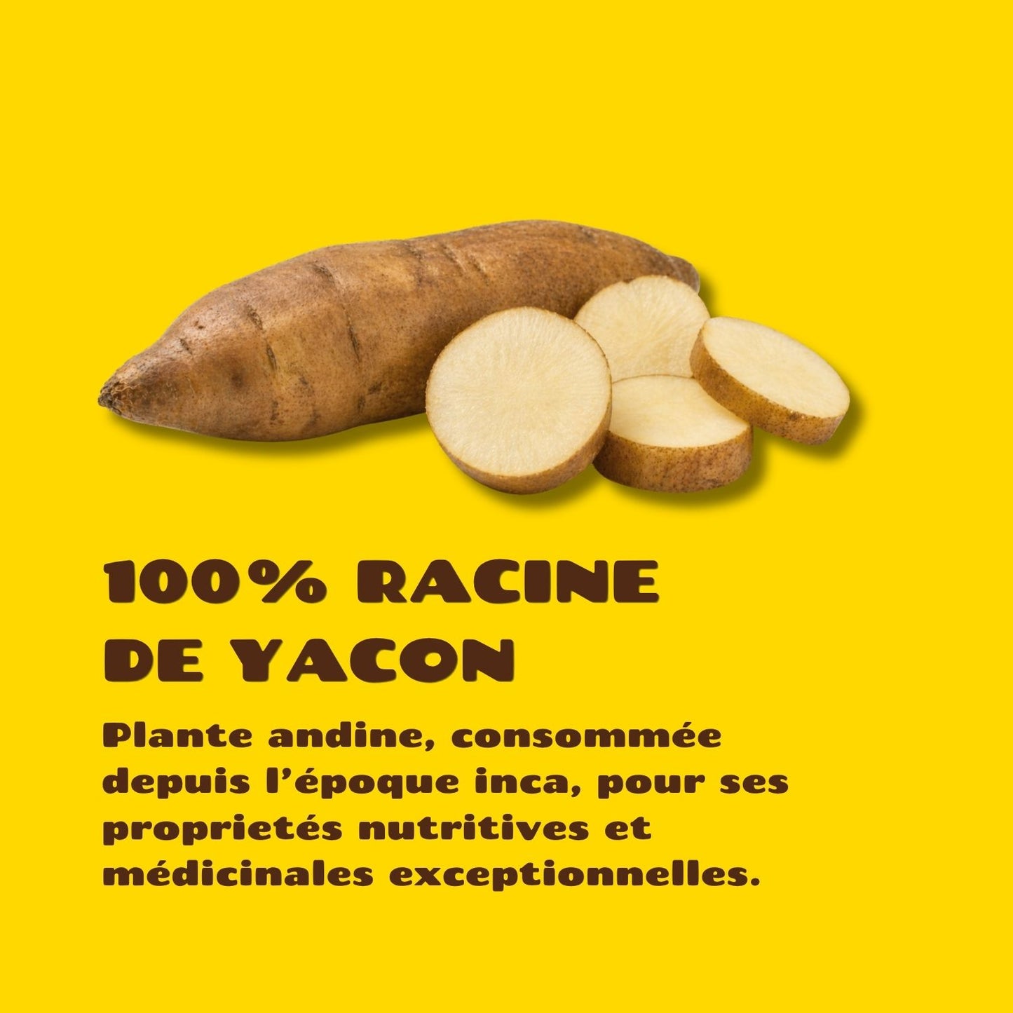 Pack 6 Squeeze Yacon Nature