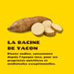 Pack 6 Squeeze Yacon Vanille