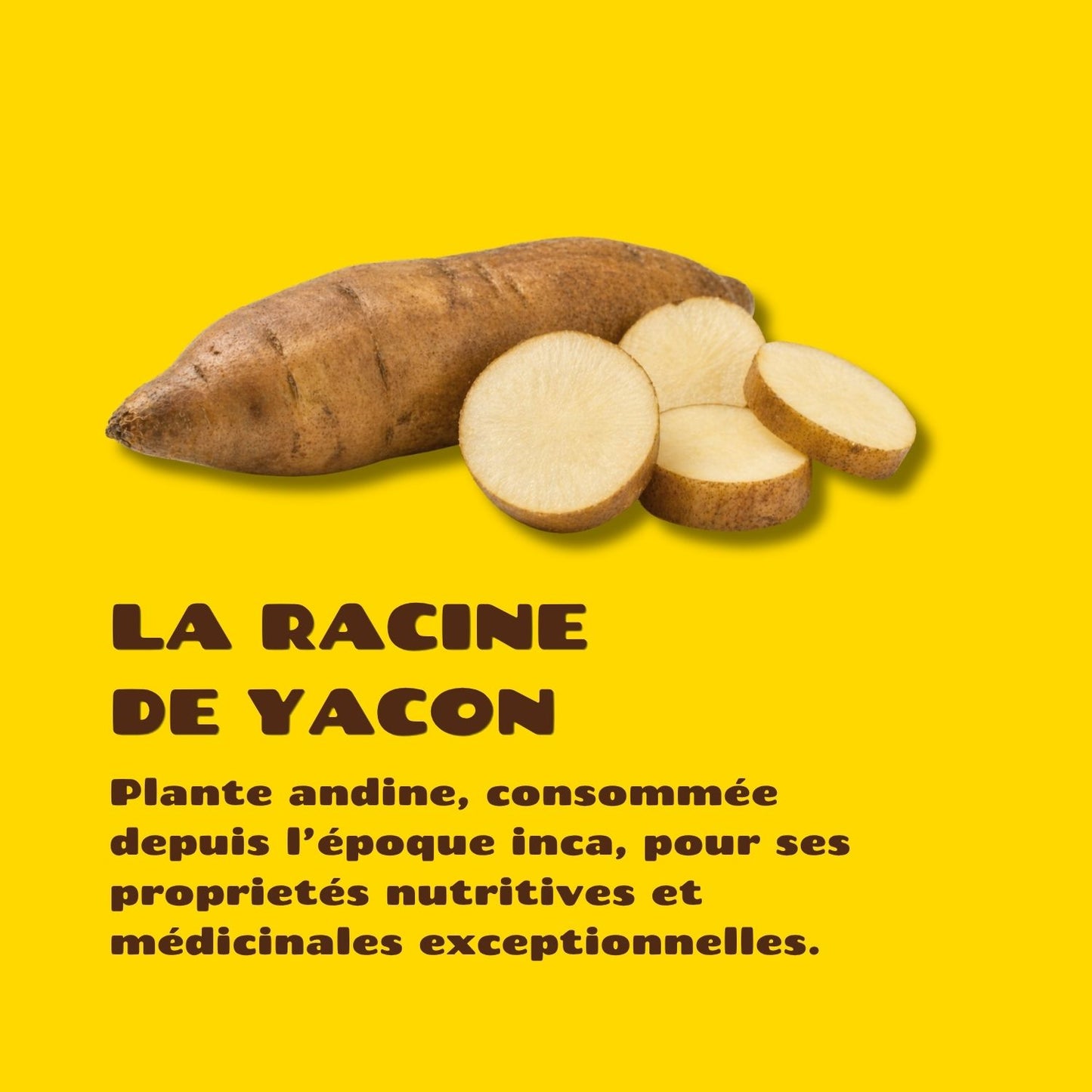 Pack 6 Squeeze Yacon Vanille